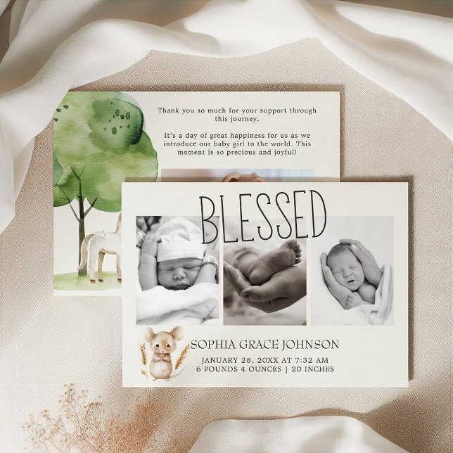 Små gårdens djur Bebis kungörande Inbjudningar (Skapare uppladdad)