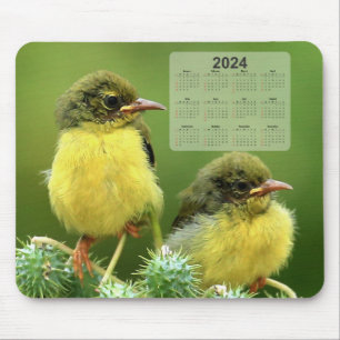 Små Gulter på en Grönt Plant 2024 Calendar Musmatta