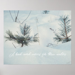 Små källor under snö poster
