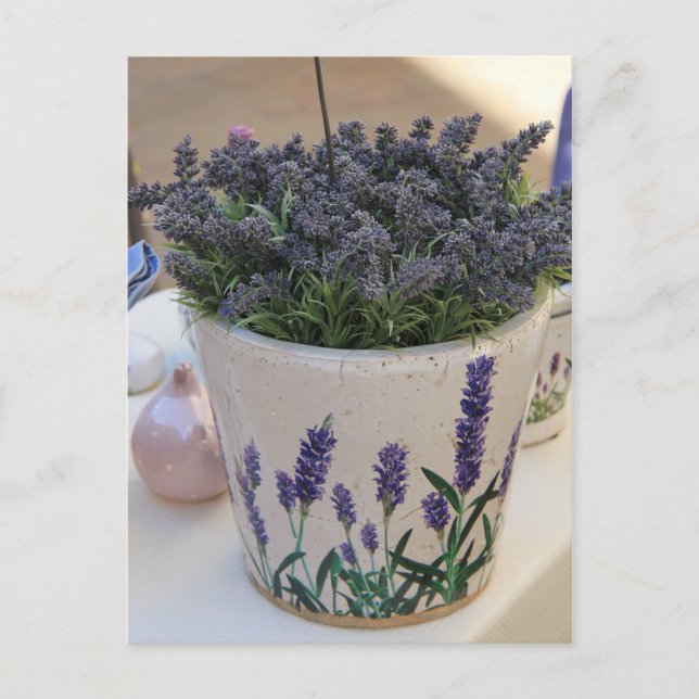 Små lavendel vykort (Framsida)