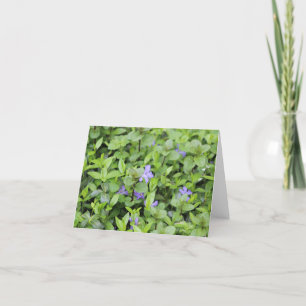 Små lila blommor och blad helgkort