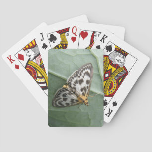 Små Magpie Moth-uppspelningskort Spel Kort
