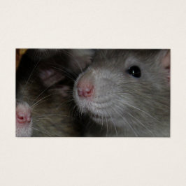 Små noser visitkort