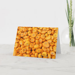 Små orange höstskörd pumpa kort