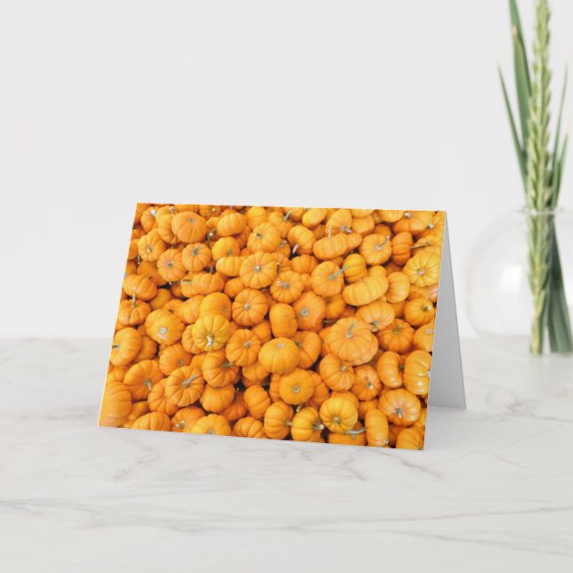 Små orange höstskörd pumpa kort (Framsida)