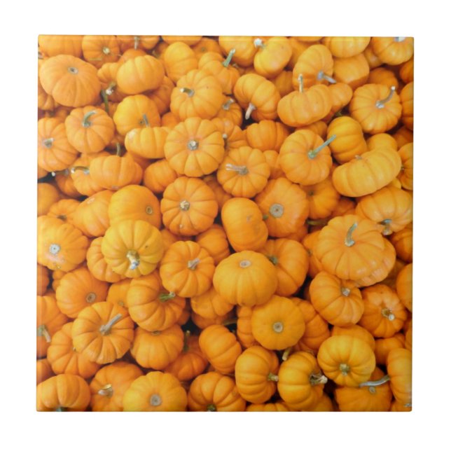 Små Orange Höstskörd Pumpakål Kakelplatta (Framsidan)