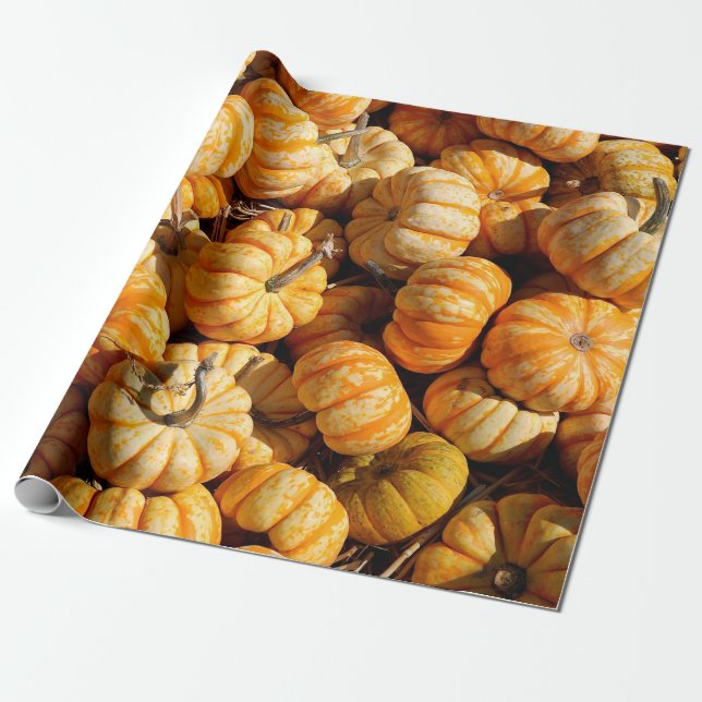 små pumpor i stapeln presentpapper (Utrullad)