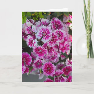 Små Rosa Blommor Tom Notkort Kort
