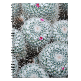 Små Rosa Flowers Cactus Plants Anteckningsbok