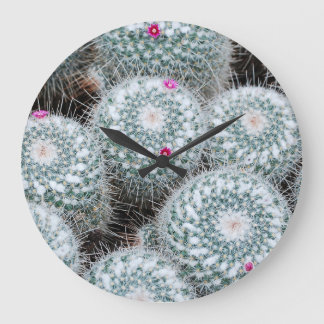 Små Rosa Flowers Cactus Plants Stor Klocka