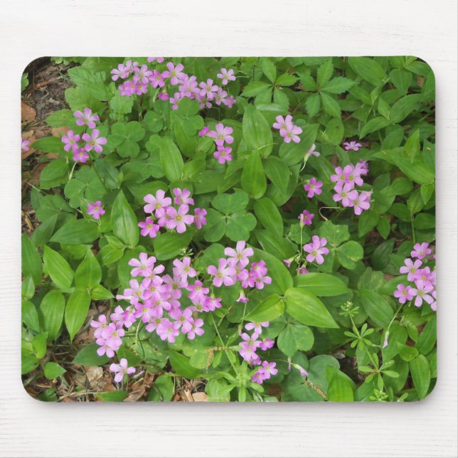 Små rosa ömtåliga vildblommor musmatta (Framsidan)