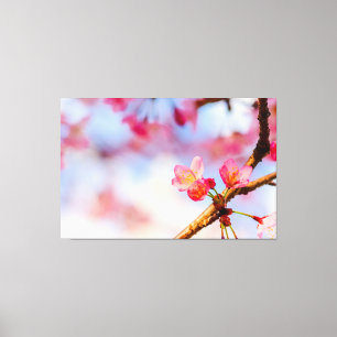 Små Rosa Sakura-Skönheter på Våren Canvastryck