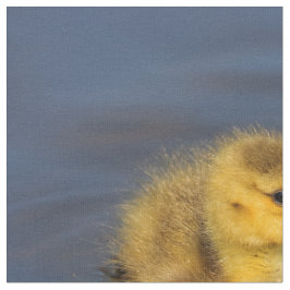 Små simmare: Kanada Goose Gosling Tyg