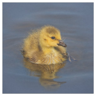 Små simmare: Kanada Goose Gosling Tyg
