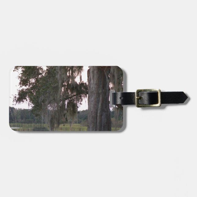 Små sjö och mest täckta träd bagagebricka (Horisontell Framsida)