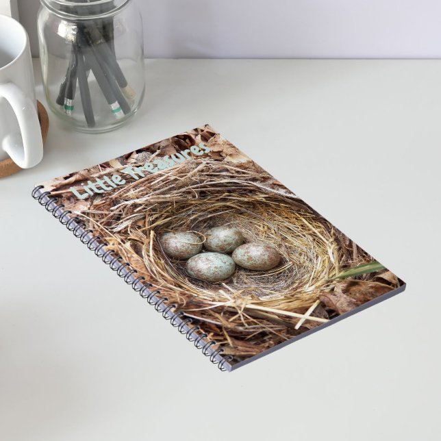 Små skatter Fågelbo Ägg Anteckningsbok (In Situ)