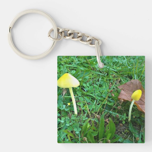 Små svampar av Gult (Framsidan)