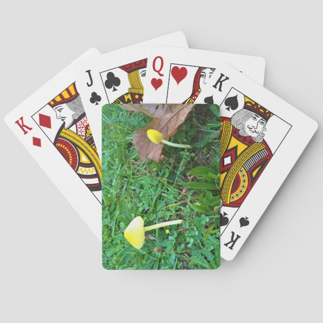 Små svampar av Gult Casinokort (Baksidan)