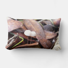 Små svampar på en lumbarkudde