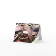 Små svampar på mappat gratulationskort