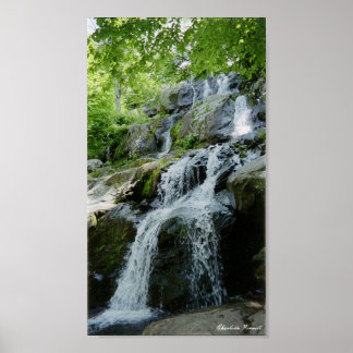 små vattendrag poster