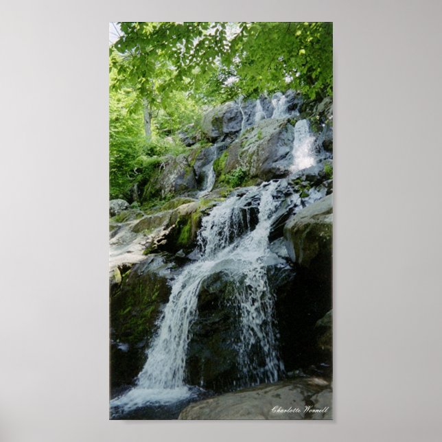 små vattendrag poster (Framsidan)