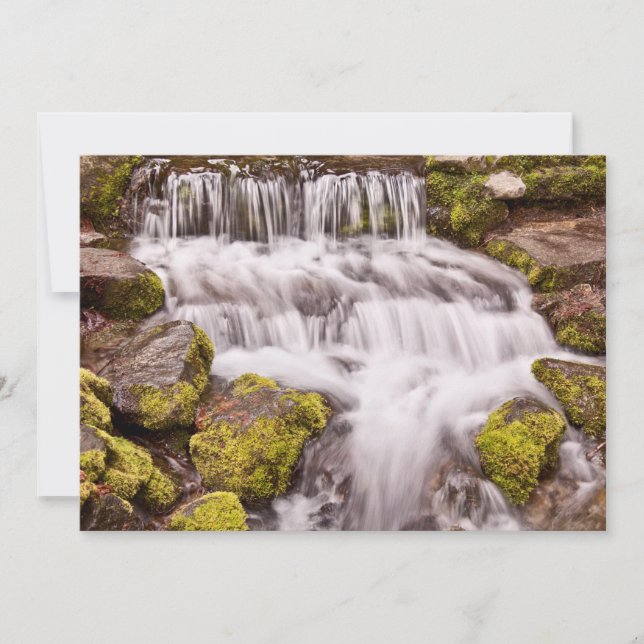 Små vattenfall i Yosemite Tack Kort (Framsida)