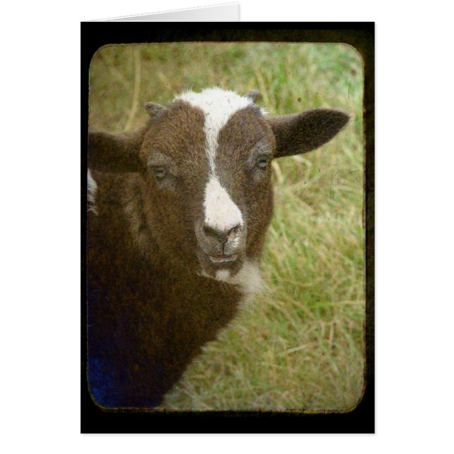 Små växer upp hälsningskort (Framsidan)