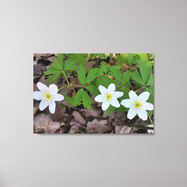 Små vita blommor canvastryck (Framsida)