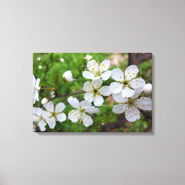 Små vita blommor canvastryck (Framsida)
