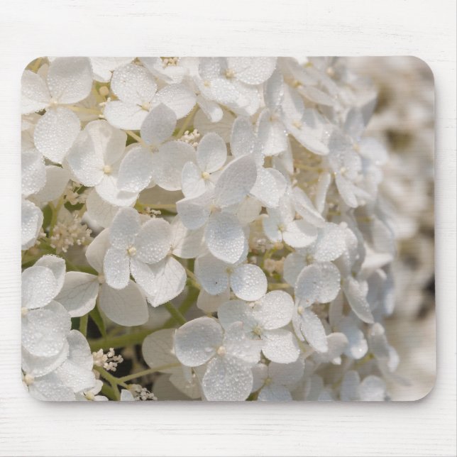 Små vita blommor musmatta (Framsidan)
