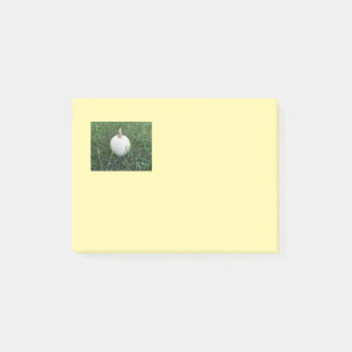 Små vita pumpa Post-it-lappar Post-it Block