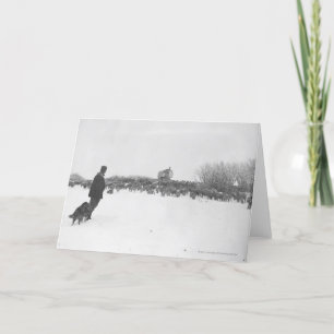 Småbesättning och hund i fårläger kort