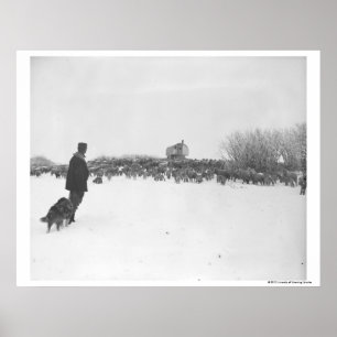 Småbesättning och hund i fårläger poster