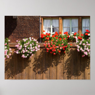 Småblommor Poster