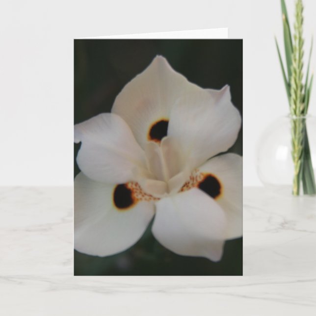 småblommor tack kort (Framsida)