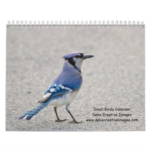 Småfåglar 2026 kalender
