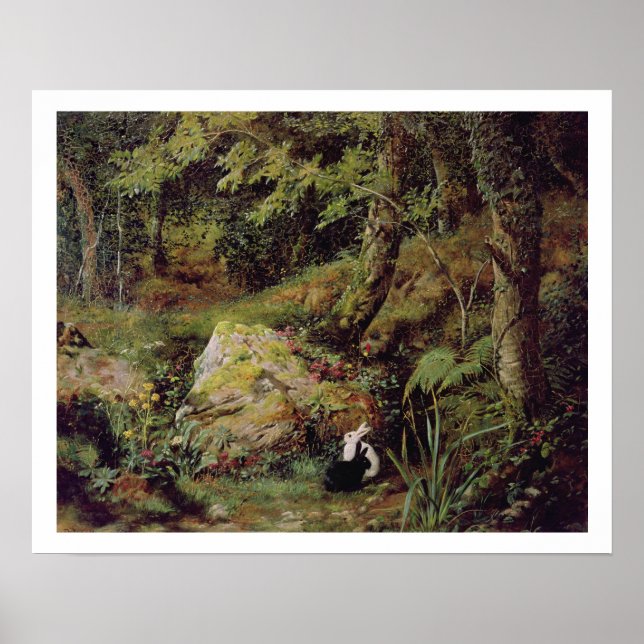 Småkaniner Poster (Framsidan)