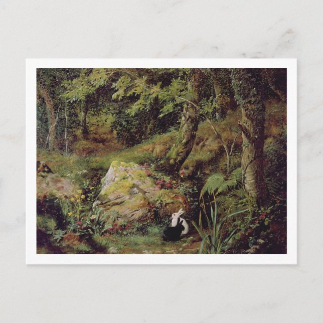 Småkaniner Vykort (Framsida)