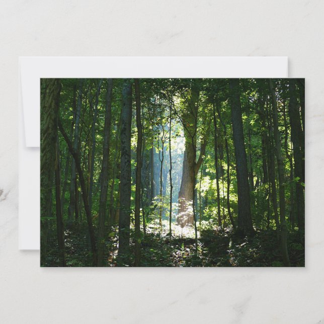 Smaklig, mysterisk, vacker (Framsida)