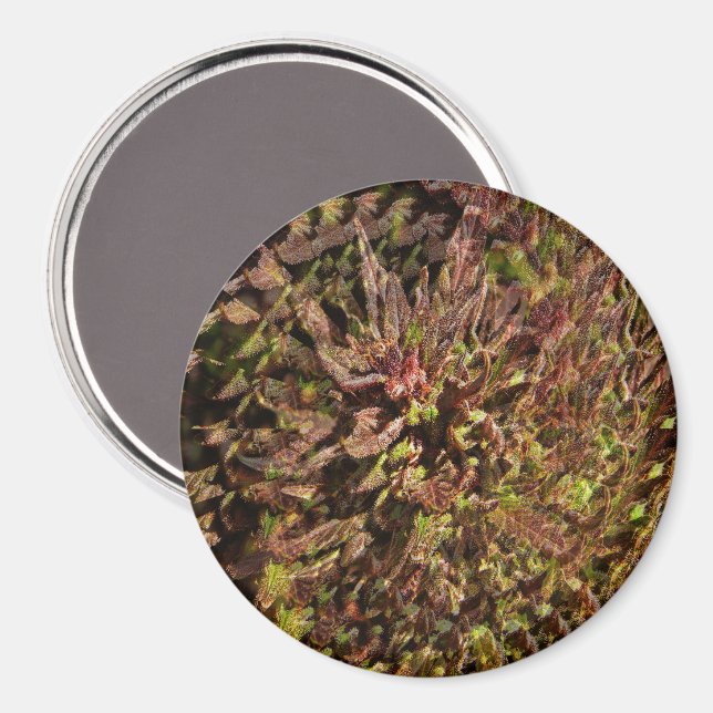 Smaklig, smaklig...... magnet (Front/Back)