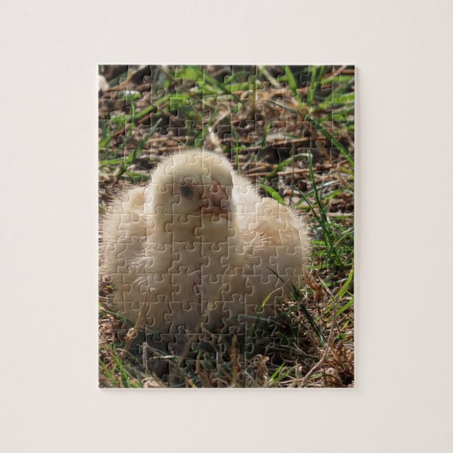 småkyckling, chick, gård pussel (Vertikal)