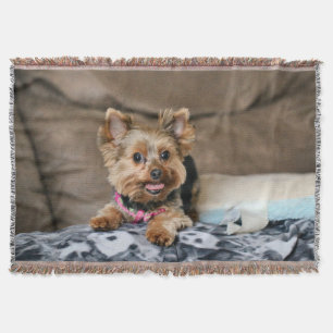 Smal dynamo filt
