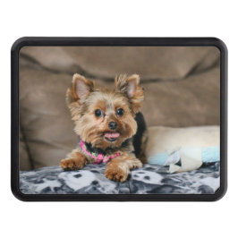 Smal dynamo skydd för dragkrok