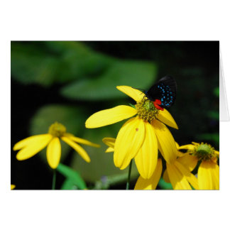 Smal Färg 2 Hälsningskort