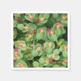 Smal Grönt Flora Pappersservett