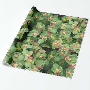 Smal Grönt Flora Presentpapper