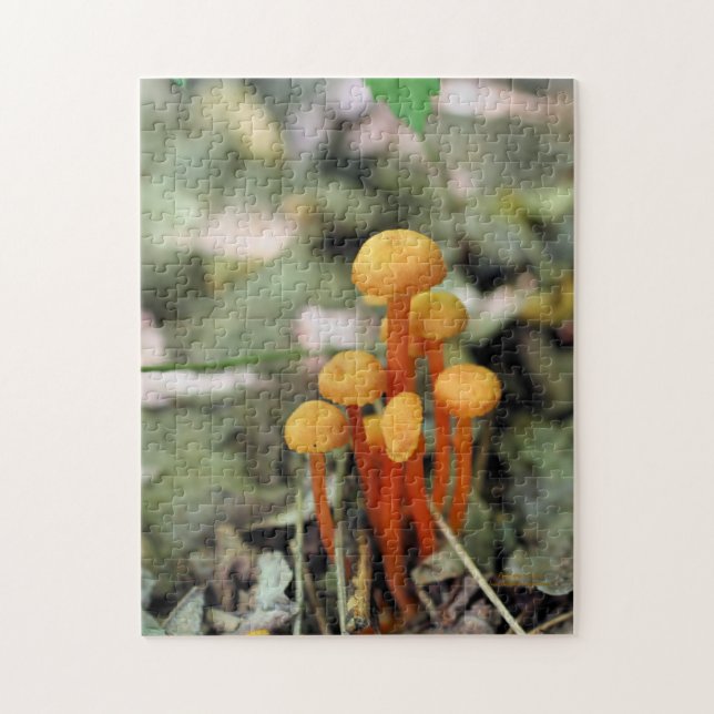 Smal Orange Vild Svampar Natur Pussel (Vertikal)
