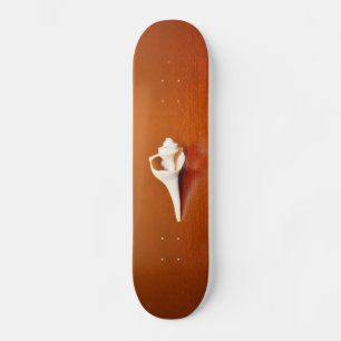 Smal Snäcka Skateboard Bräda 20 Cm