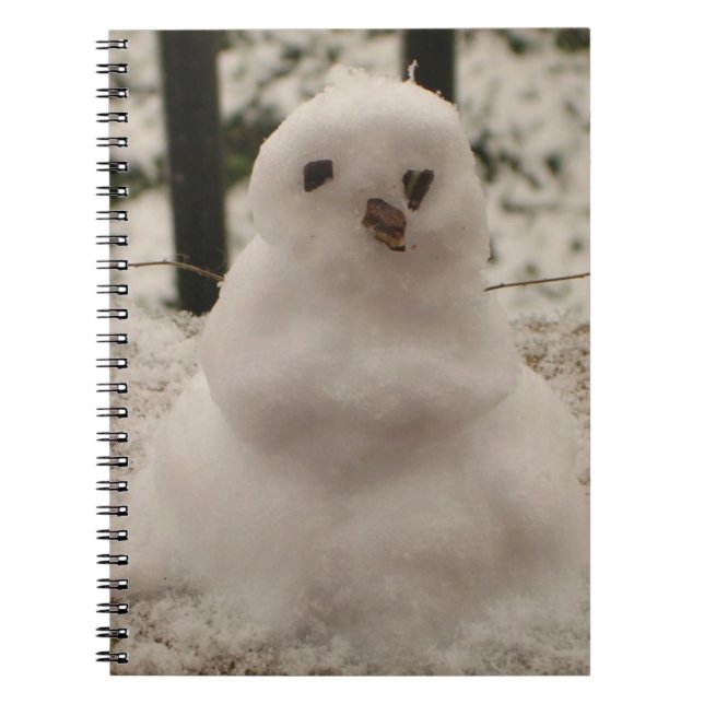 Smal Snögubbe-bärbar dator Anteckningsbok (Framsidan)